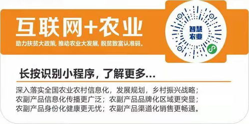 數字翅膀助農飛，互聯網+農業打通鄉村振興新銷路